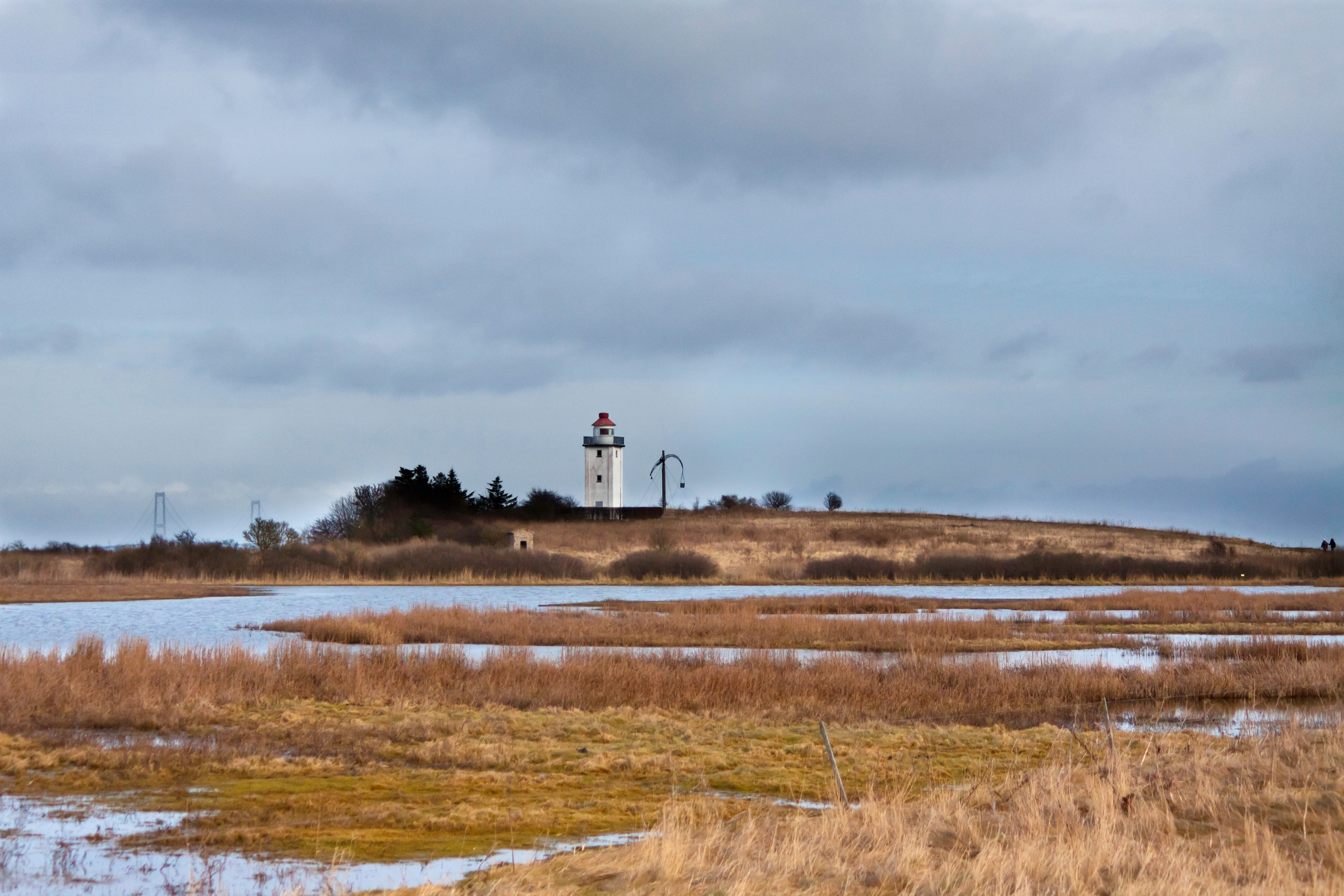 Nyborg[1].webp